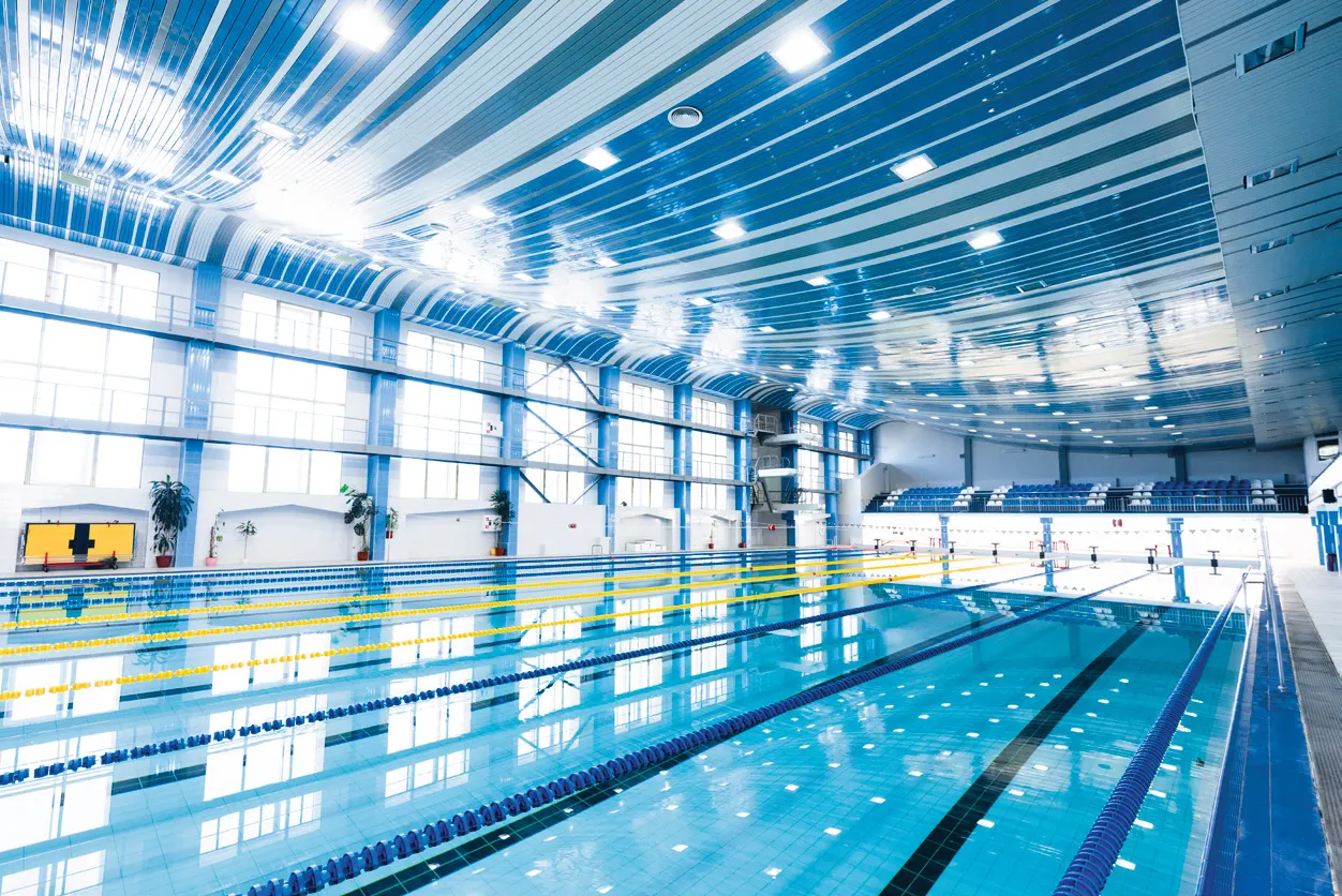 Indoor Olympic pool with marked competition lanes